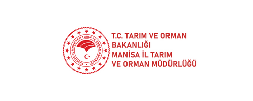 il tarim logo