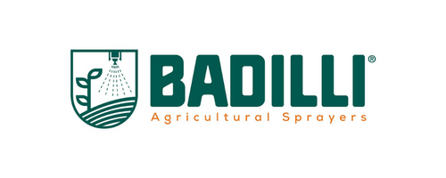 badilli